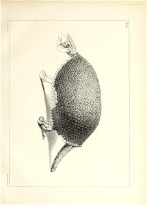n14_w1150