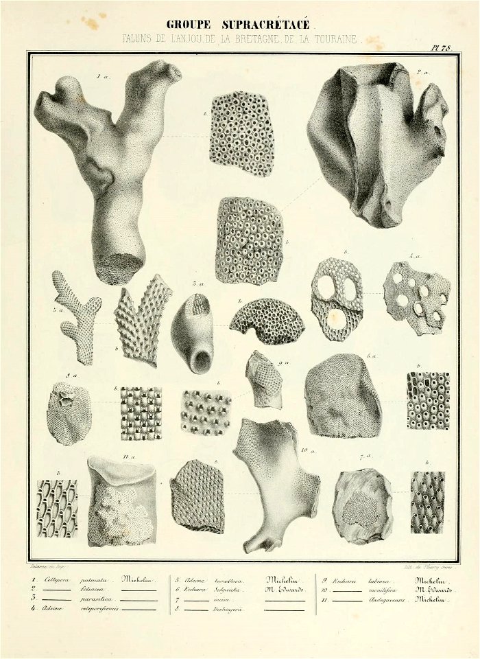 n164_w1150