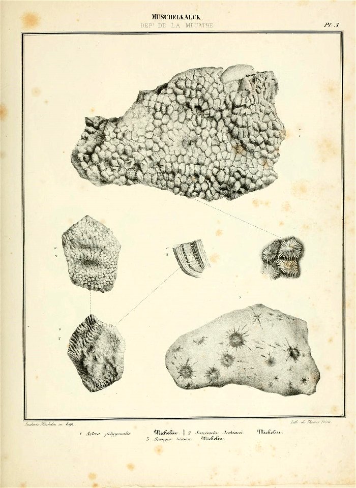 n14_w1150