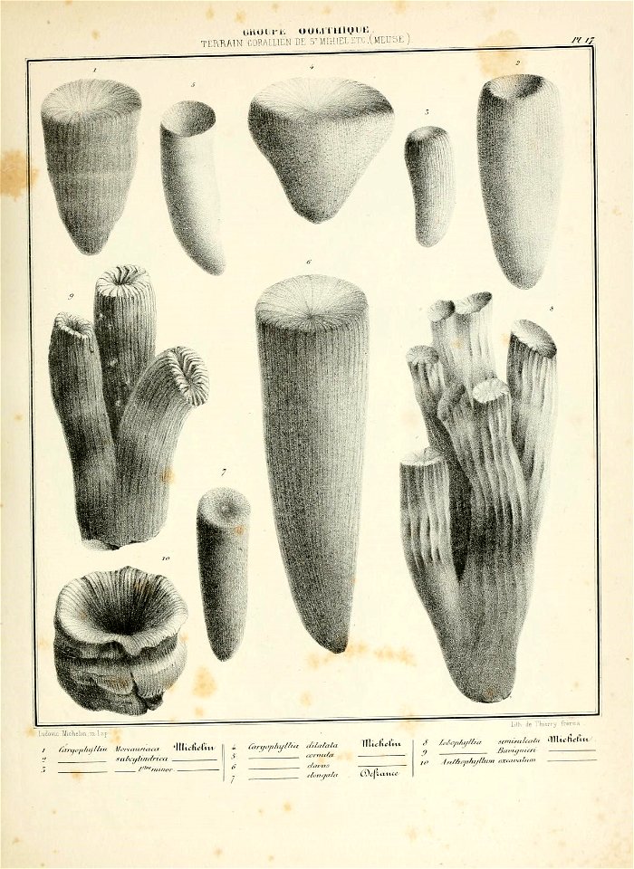 n42_w1150