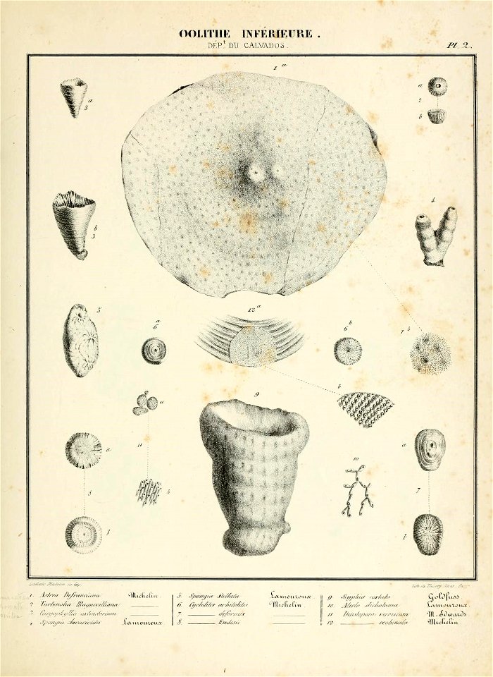 n12_w1150