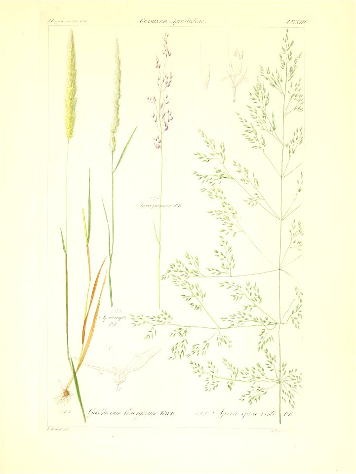 n92_w1150
