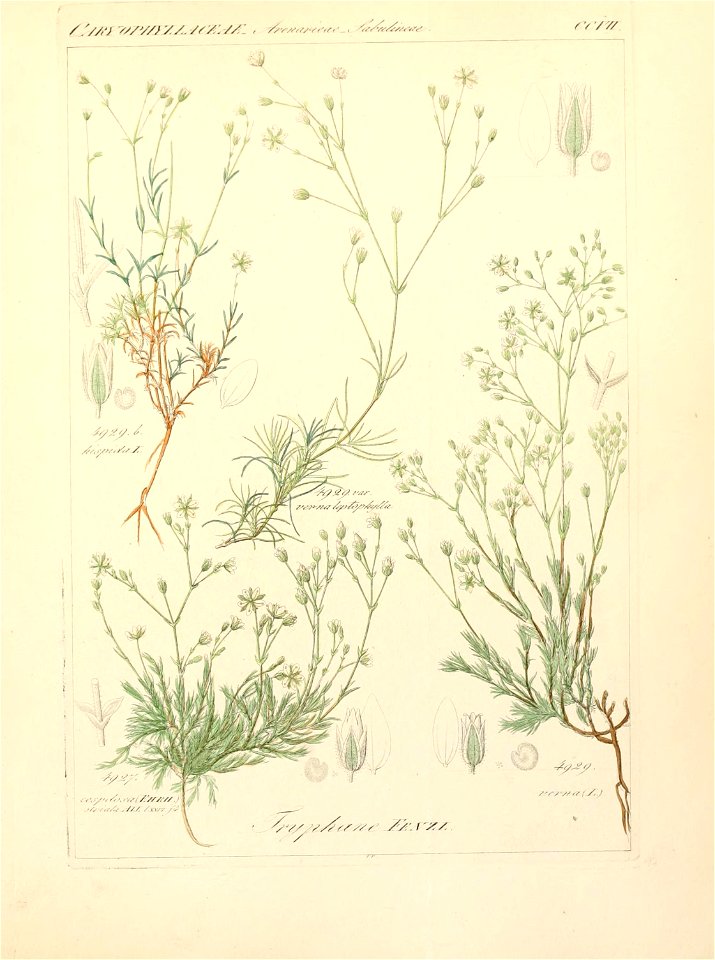 n208_w1150