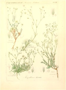 n208_w1150