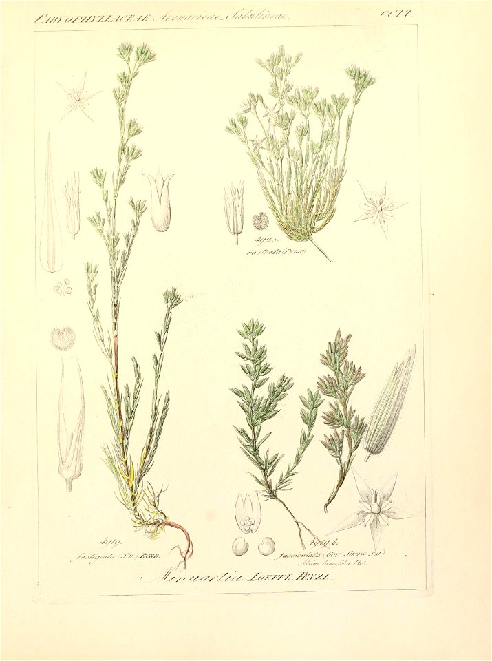 n206_w1150