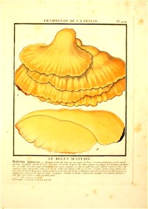 n98_w1150