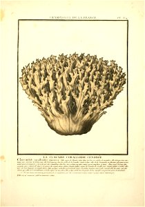 n40_w1150