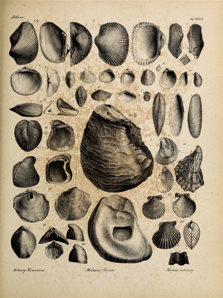 n176_w1150