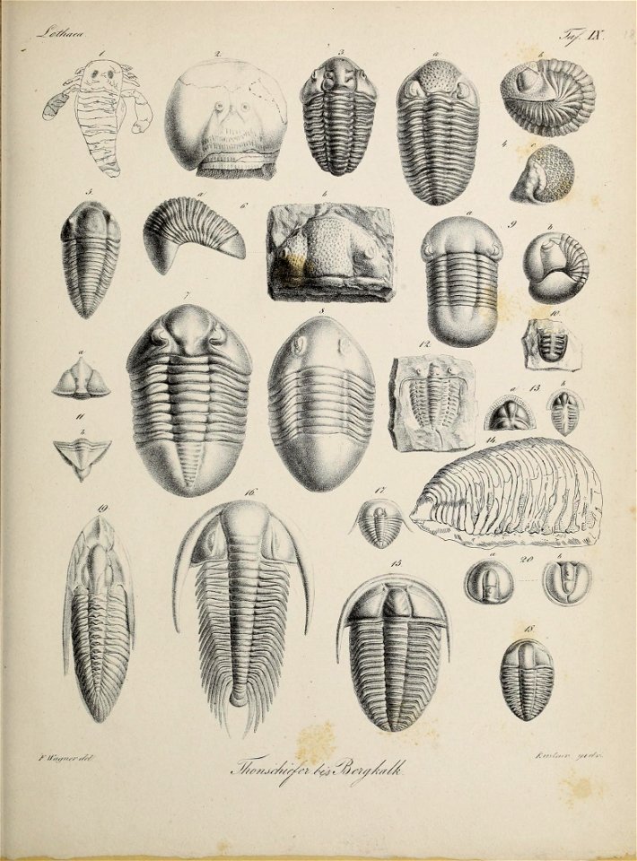 n58_w1150