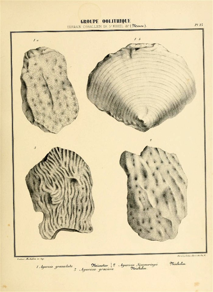 n54_w1150