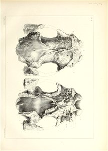 n18_w1150