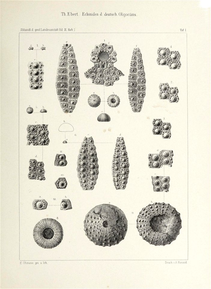 n10_w1150