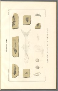 n16_w1150