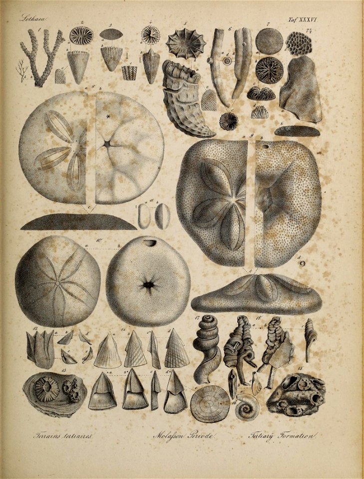 n164_w1150