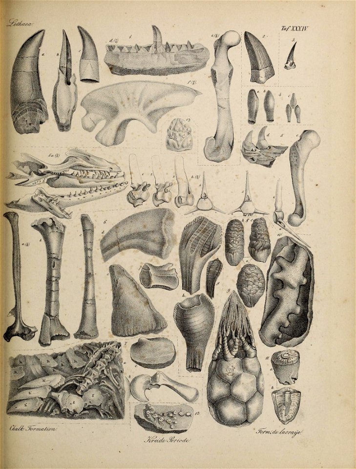 n156_w1150