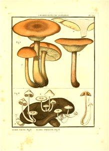 n94_w1150