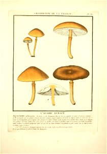 n56_w1150
