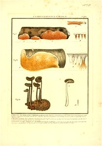 n6_w1150