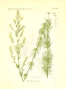 n218_w1150