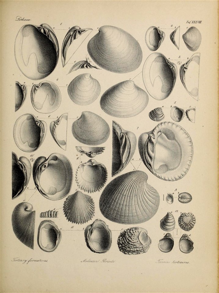 n172_w1150