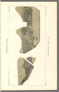 n18_w1150