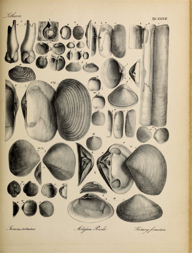 n168_w1150