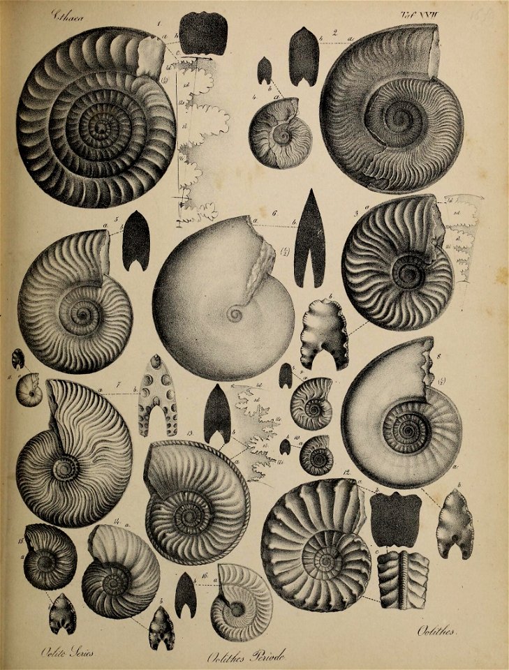 n108_w1150