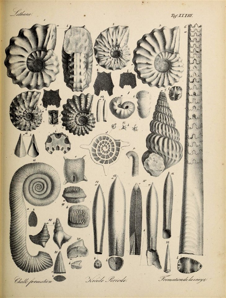 n152_w1150