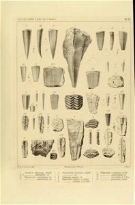 n56_w1150
