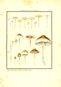 n56_w1150