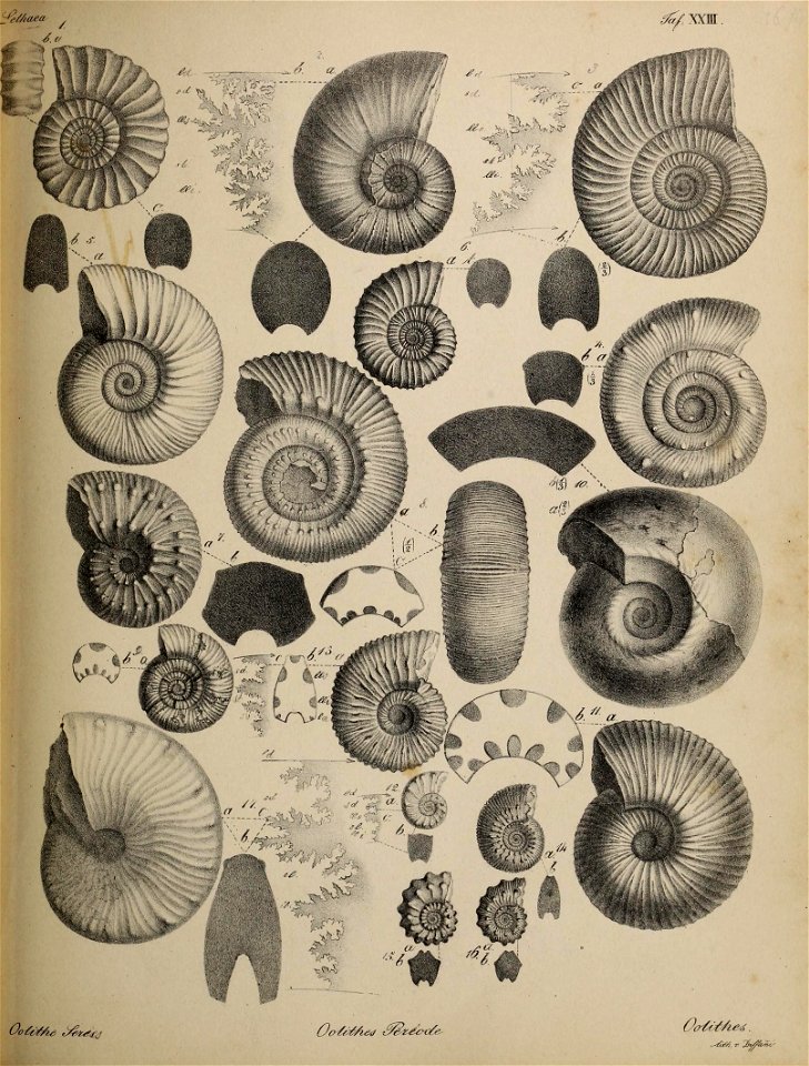 n112_w1150