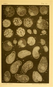 n114_w1150