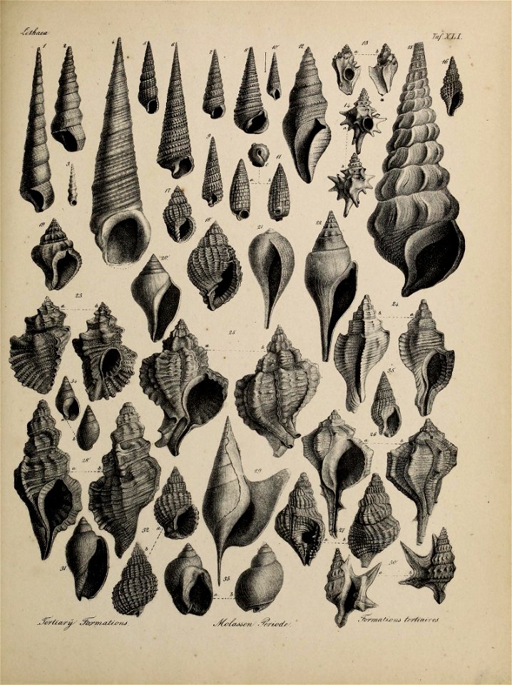 n184_w1150