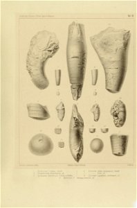 n44_w1150