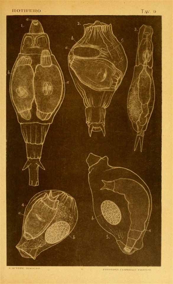 n42_w1150