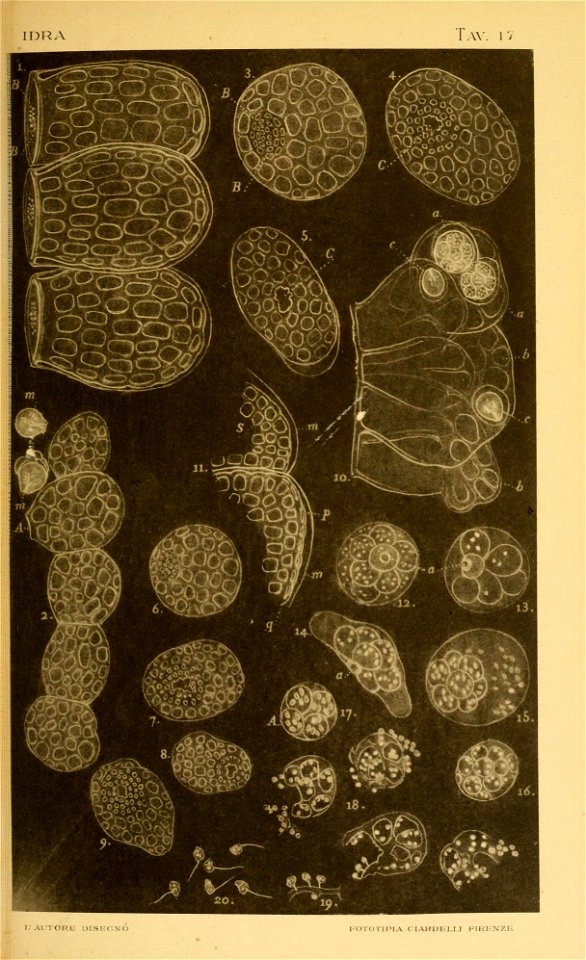 n102_w1150