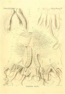 n112_w1150