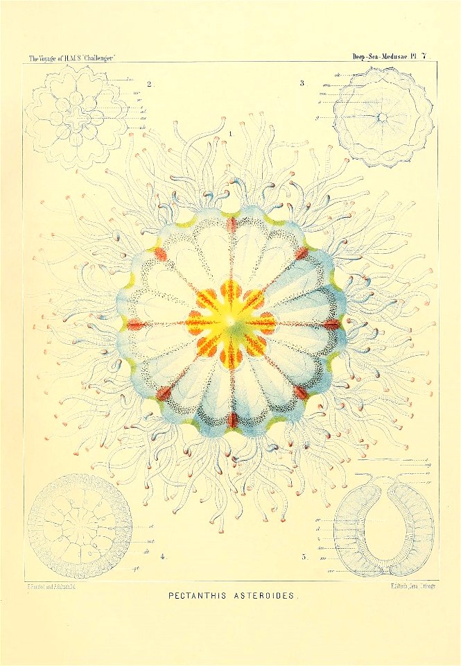 n44_w1150