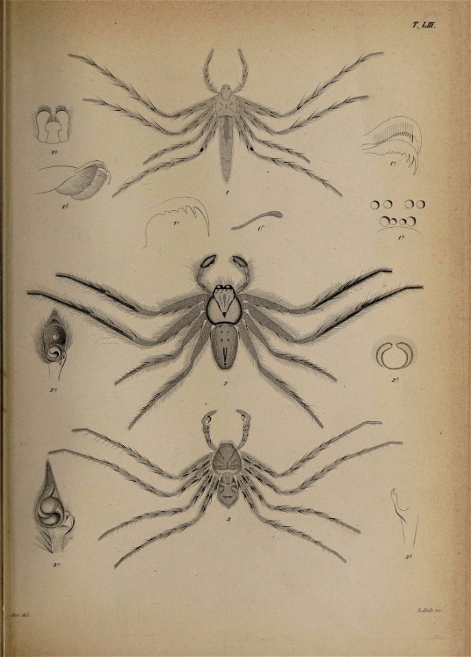 n112_w1150