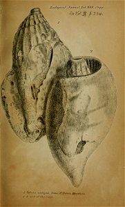 n46_w1150