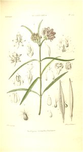 n173_w1150