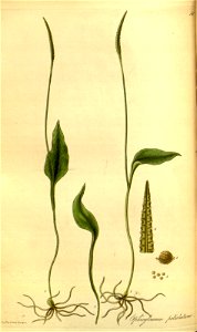 n163_w1150
