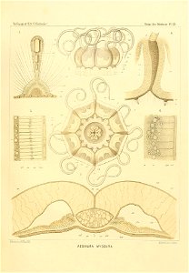 n68_w1150