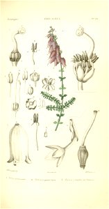 n156_w1150
