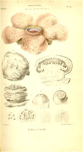 n199_w1150