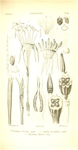n154_w1150