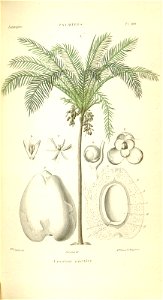 n168_w1150