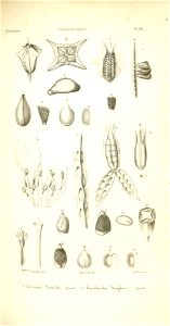 n153_w1150