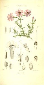 n167_w1150