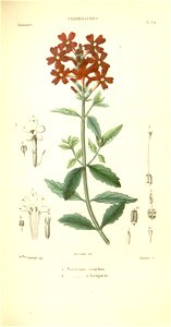n152_w1150